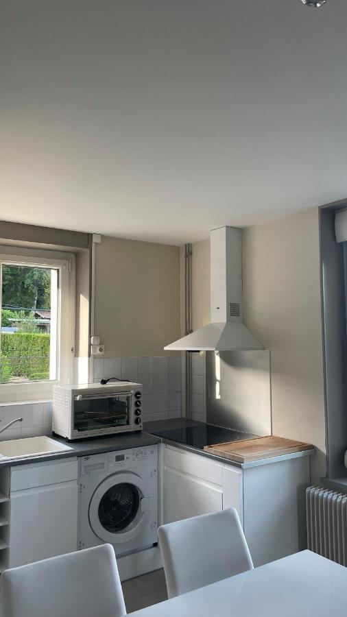 Appartement La Fourmi Verte Bruyeres Экстерьер фото
